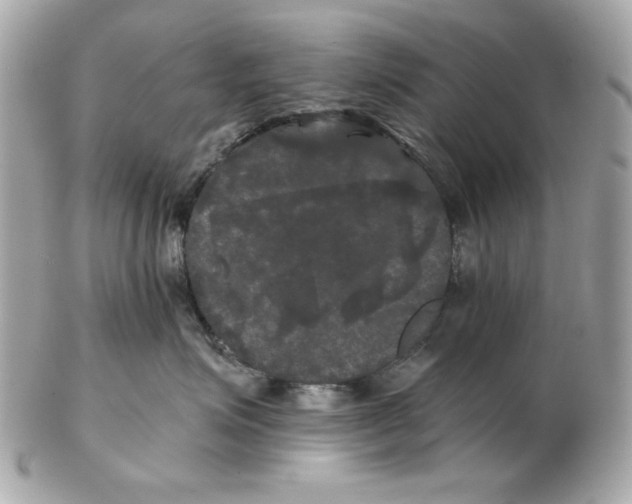 X0000102490623200808291650