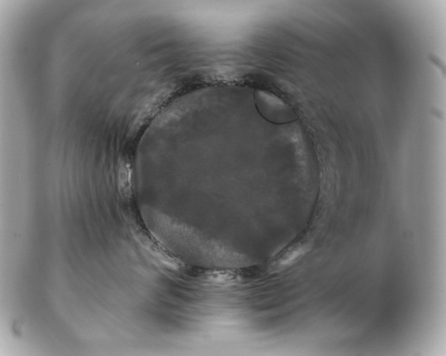 X0000102490624200808291650