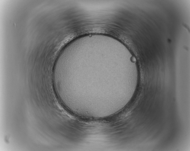 X0000102490625200808291650