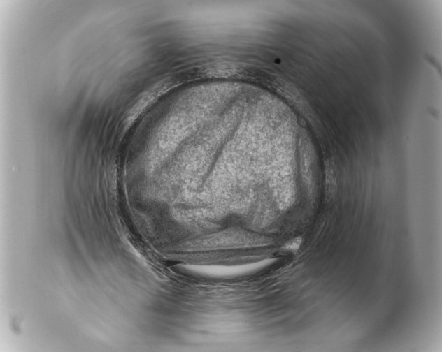 X0000102490626200808291650