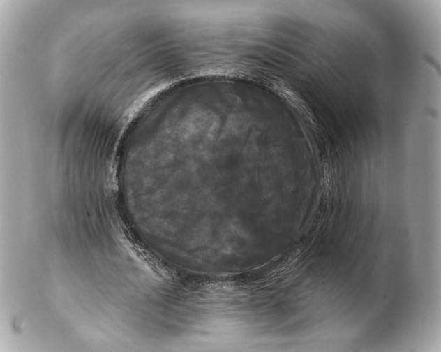 X0000102490628200808291650