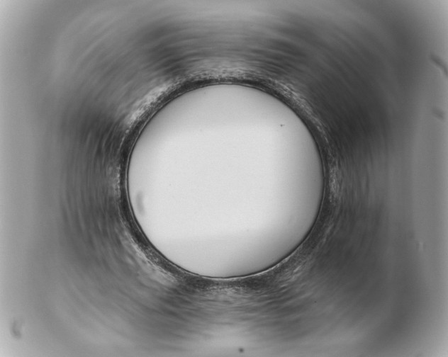 X0000102490629200808291650