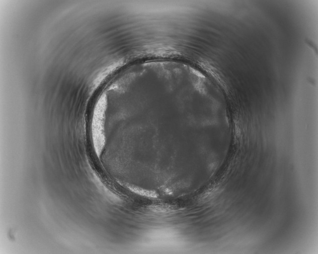 X0000102490630200808291650