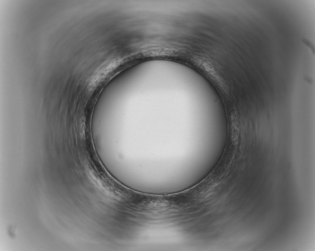 X0000102490631200808291650