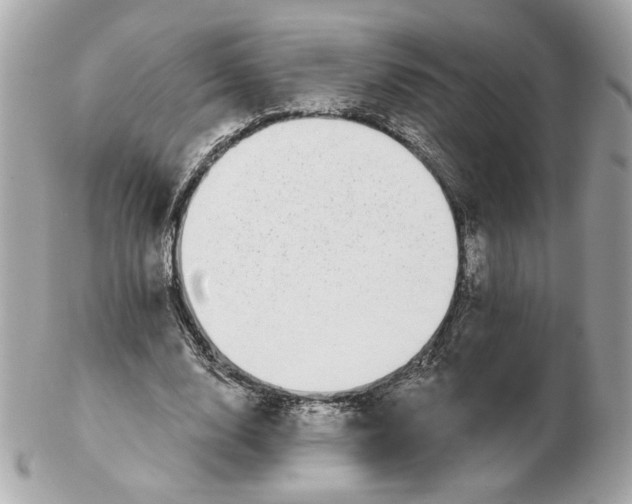 X0000102490632200808291650