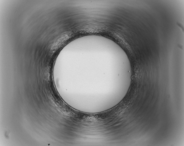 X0000102490635200808291650