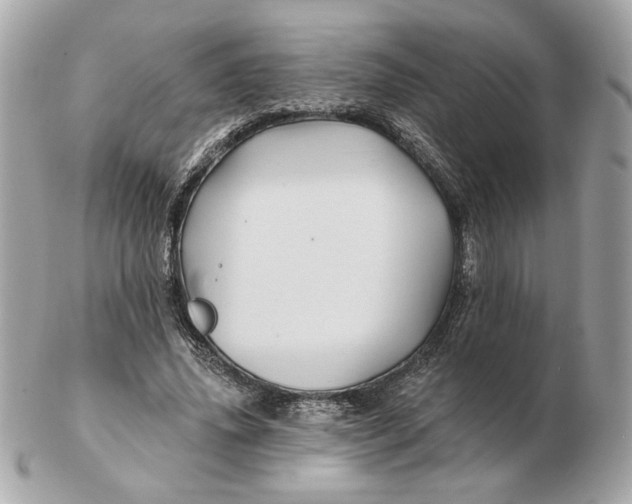 X0000102490636200808291650