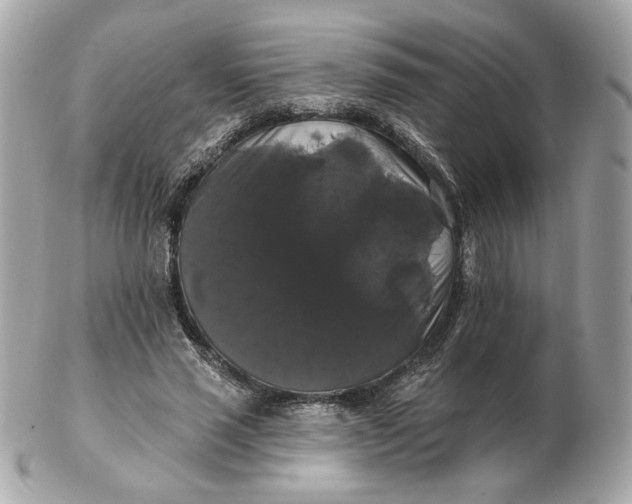 X0000102490637200808291650