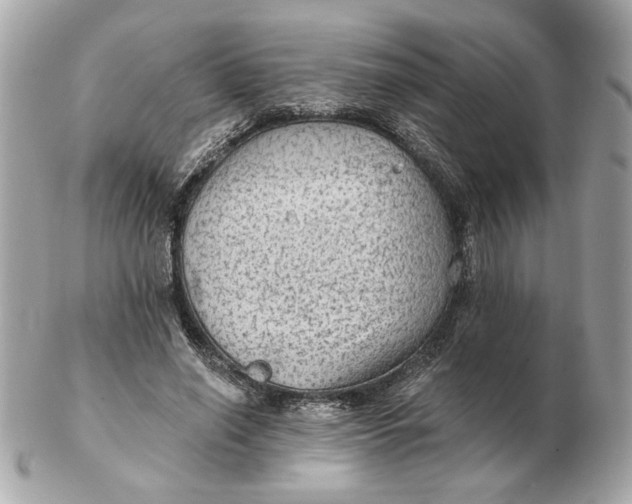 X0000102490638200808291650