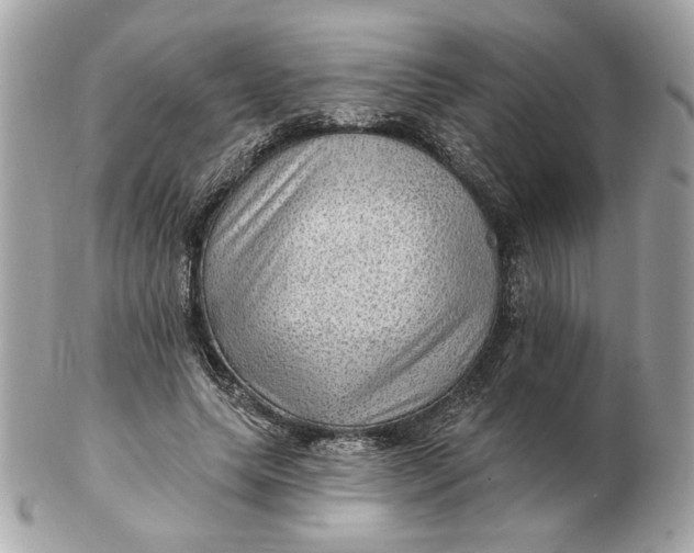 X0000102490639200808291650