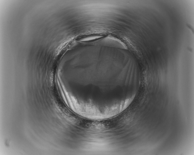 X0000102490640200808291650