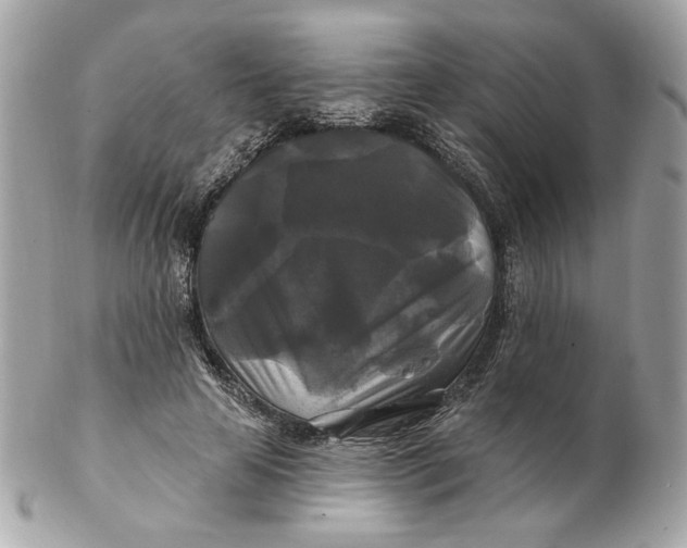 X0000102490641200808291650