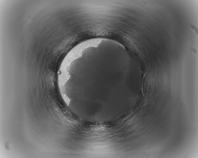 X0000102490643200808291650