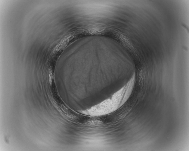 X0000102490644200808291650