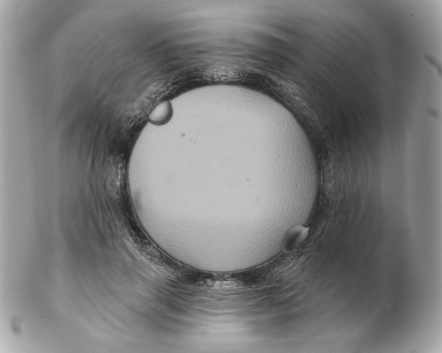 X0000102490645200808291650