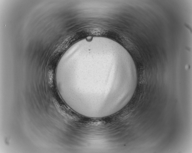 X0000102490646200808291650