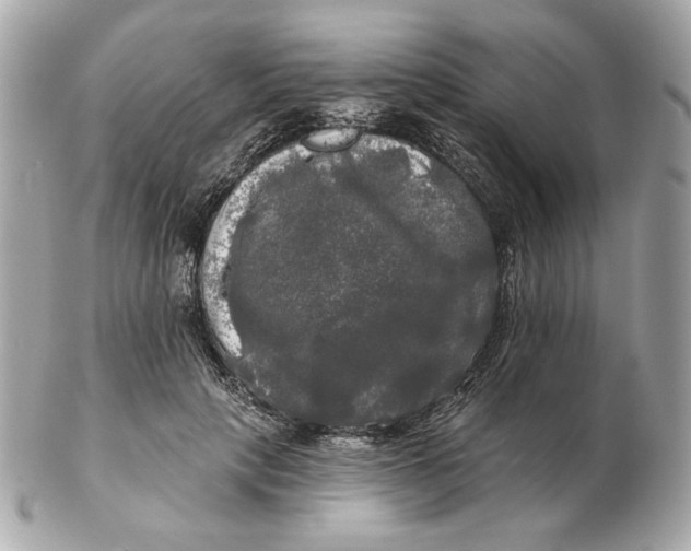 X0000102490649200808291650