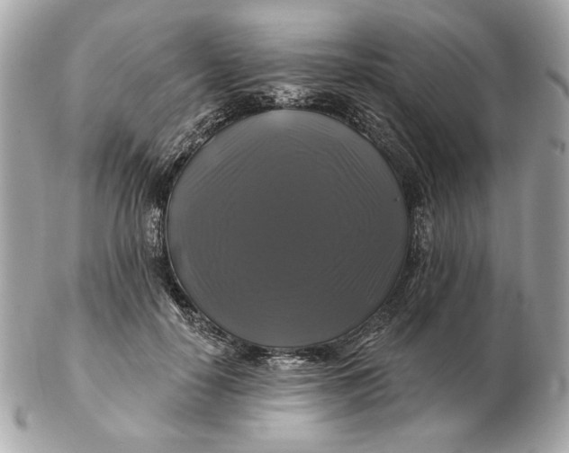 X0000102490650200808291650