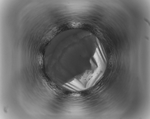 X0000102490651200808291650