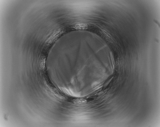 X0000102490652200808291650