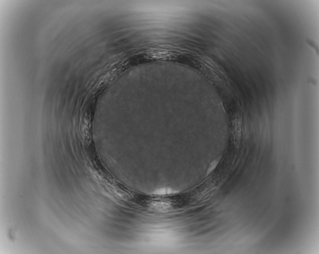 X0000102490653200808291650