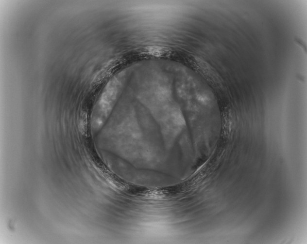 X0000102490656200808291650