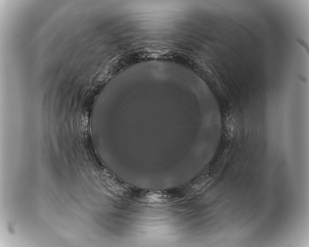 X0000102490657200808291650