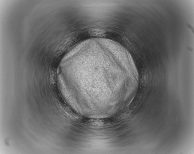 X0000102490658200808291650