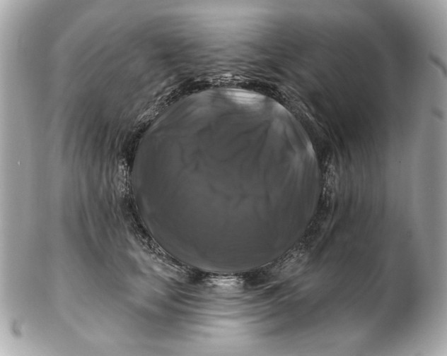 X0000102490659200808291650