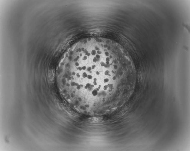 X0000102490660200808291650