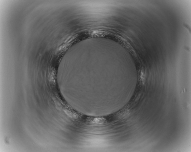 X0000102490663200808291650