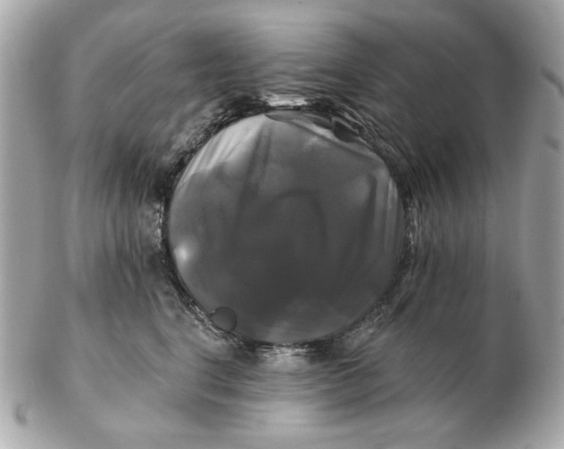 X0000102490664200808291650