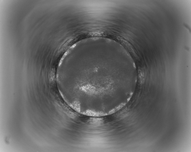 X0000102490665200808291650