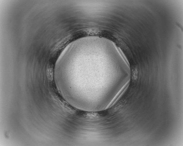 X0000102490666200808291650