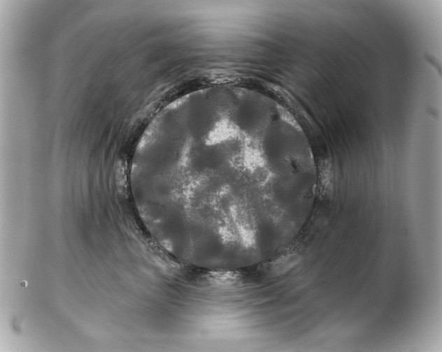 X0000102490667200808291650