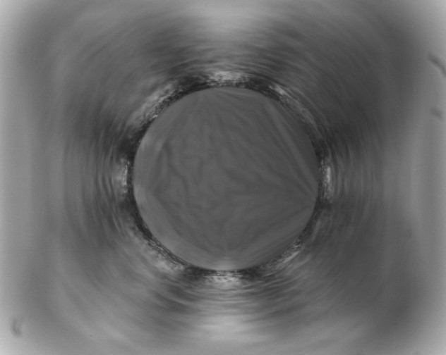 X0000102490668200808291650