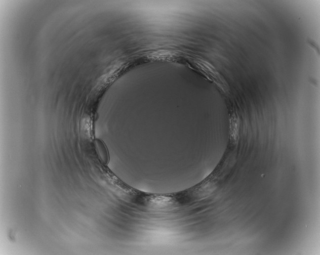 X0000102490669200808291650