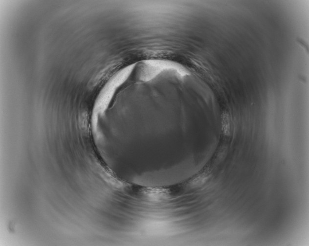 X0000102490670200808291650