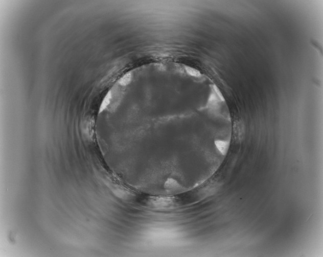 X0000102490671200808291650