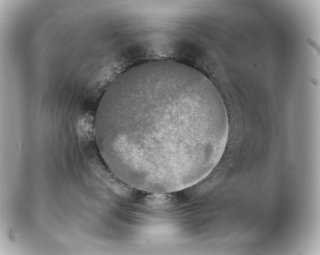 X0000102490672200808291650