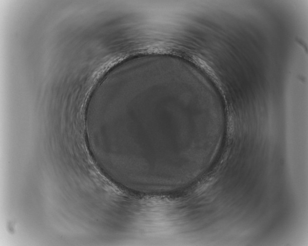 X0000102490673200808291650