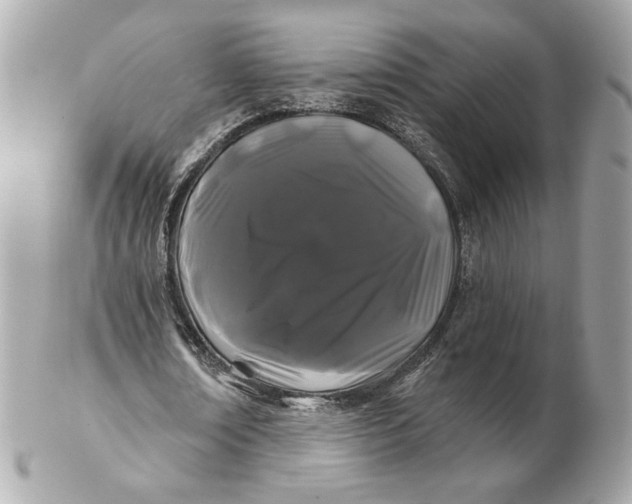 X0000102490674200808291650