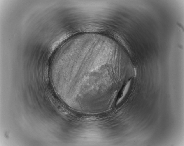 X0000102490675200808291650