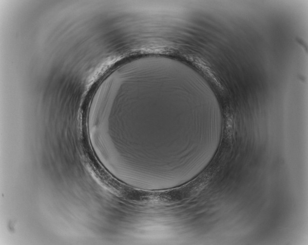 X0000102490678200808291650