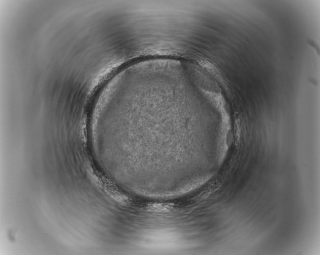 X0000102490680200808291650