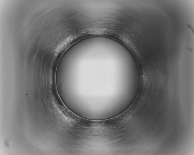 X0000102490682200808291650