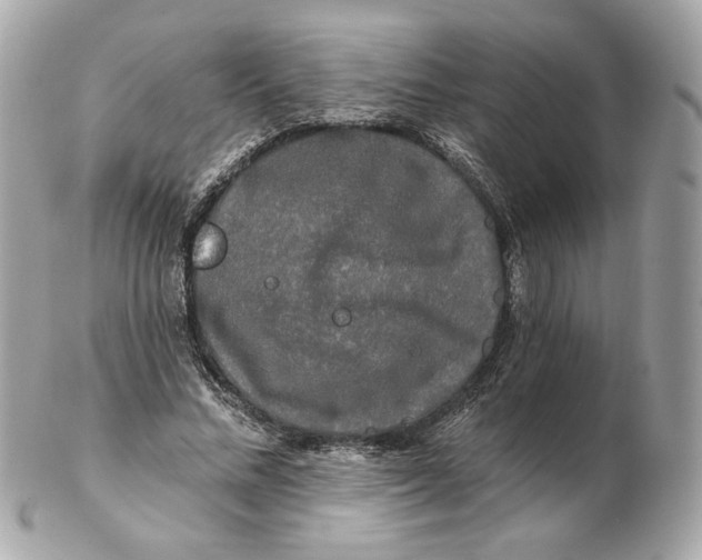 X0000102490684200808291650