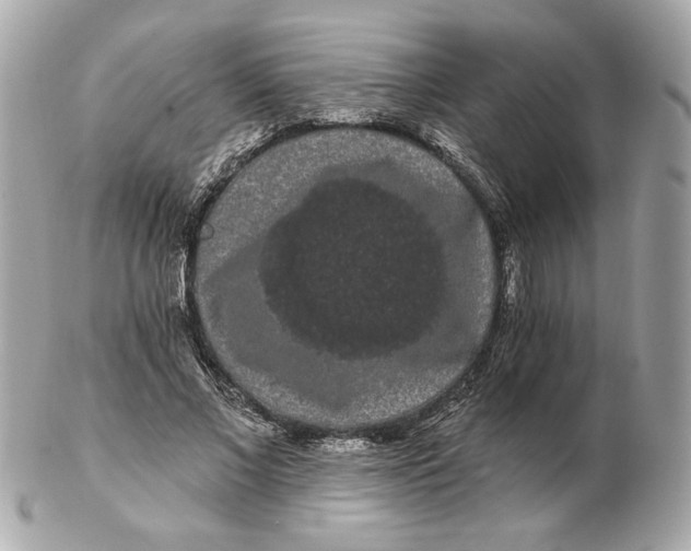 X0000102490685200808291650