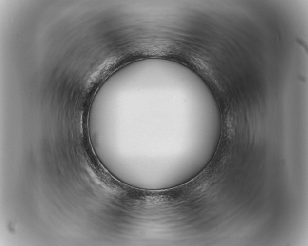 X0000102490686200808291650