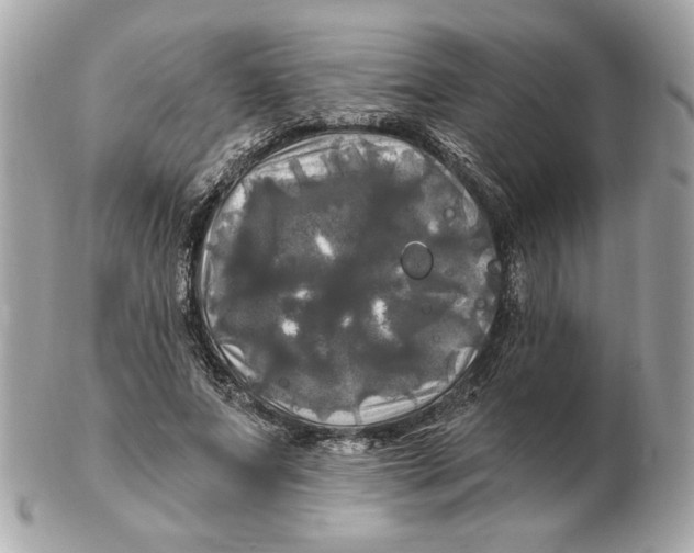 X0000102490687200808291650